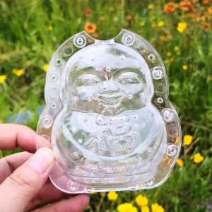 Anneome 2pcs Vegetable Shaping Mold Fruit Cucumber Shaping Molds Adorable Melon Mold Watermelon Pumpkin - product information 1