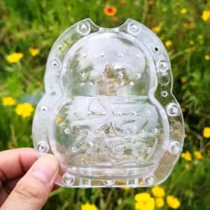 Anneome 2pcs Vegetable Shaping Mold Fruit Cucumber Shaping Molds Adorable Melon Mold Watermelon Pumpkin - product information 3