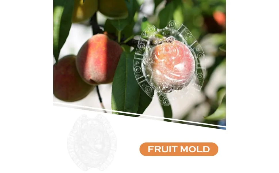 SEWOART Vegetable Shaped Fruitful Vegetable Shaping Transparent Shaping Shaper Melon Cucumber - product information 3