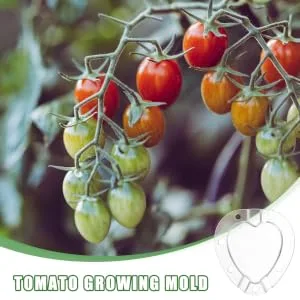 BCOATH 2 Sets Heart Shaped Tomato Mold Tomatoes Fruit Accessory Convenient Fruits Plastic Shaping Abrasives - product information 1