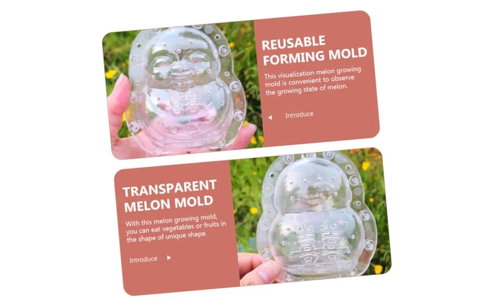 Ginseng Vegetable DIY Molds Pumpkin Shaping Mold Shaper Mold Fruit Forming Machine Stereotypes - product information 2