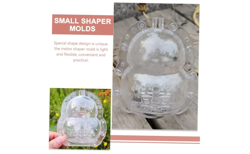 Ginseng Vegetable DIY Molds Pumpkin Shaping Mold Shaper Mold Fruit Forming Machine Stereotypes - product information 5