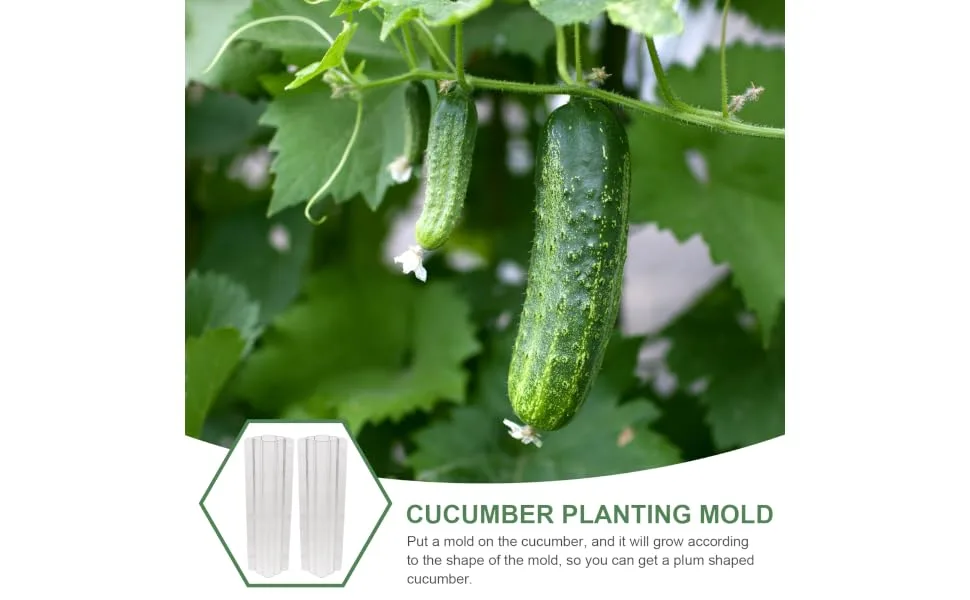 BCOATH 2pcs Vegetable Shaping Fruit Vegetable Forming Mould Kit Watermelon Picking Garden - product information 6