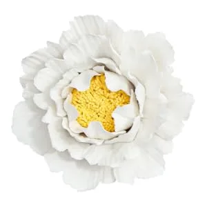 ORFOFE Wall Flower Sculpture 1Pc peony flower wall decoration home decoration Ceramic wall art Ceramic Flower Flower Wall White 7x7cm - product information 3