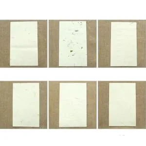 Anneome 40 Sheet Glitter Tissue Paper Rice Paper for Decoupage Red Calligraphy Paper Plant Calligraphy Ink - product information 1