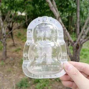 BRIGHTFUFU Plastic Fruit 2pcs Watermelon Tool Duddha Melon Tiny Growth Mold Tools Mould Buddha Adorable Shaping Transparent - product information 1