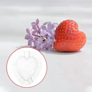Gogogmee 5pcs Fruit Shaping Mold Plastic Fruit Cucumber Shaping Tool Vegetable Shaping Tool Garden Tools - product information 1