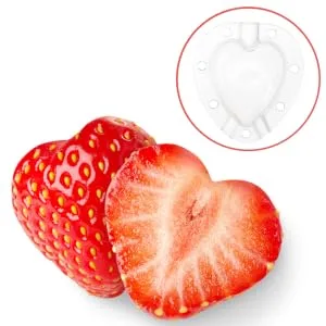 Gogogmee 5pcs Fruit Shaping Mold Plastic Fruit Cucumber Shaping Tool Vegetable Shaping Tool Garden Tools - product information 3