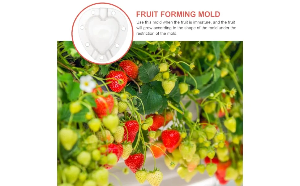 Gogogmee 5pcs Fruit Shaping Mold Plastic Fruit Cucumber Shaping Tool Vegetable Shaping Tool Garden Tools - product information 6