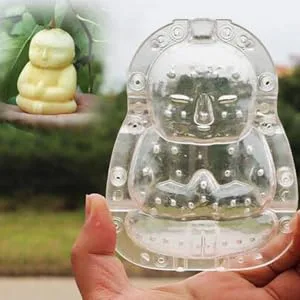 FUNOMOCYA 2pcs Vegetable Shaping Mold Clear Fruit Fruits Growth Garden Adorable Fruit Mold Cucumber Apple Pear - product information 4