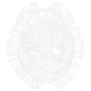 VINTORKY Shaped Growth Fruit for Shaping Reusable Forming Shaper Melon Ginseng Watermelon - product information 4