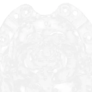 VINTORKY Shaped Growth Fruit for Shaping Reusable Forming Shaper Melon Ginseng Watermelon - product information 7