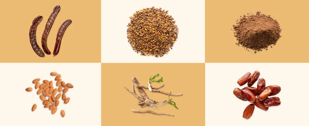 Teeccino Herbal Tea Mocha Rich & Roasted Herbal Tea That s Caffeine Free & Prebiotic for Natural Energy 25 Tea Bags - Mocha