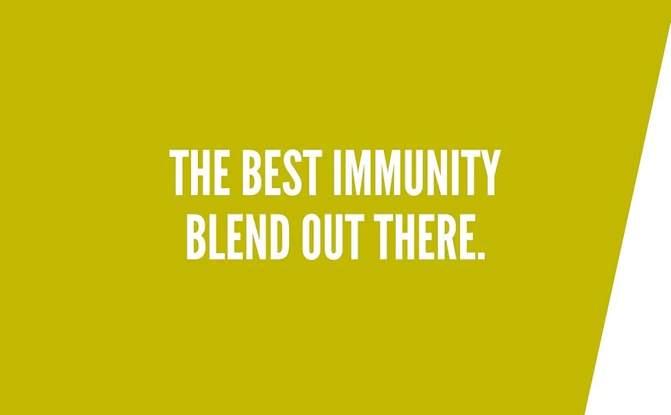TORO Matcha Turmeric and Ginger Blend For Increased Immunity and Anti-inflammation Unflavoured 40g - TORO MATCHA