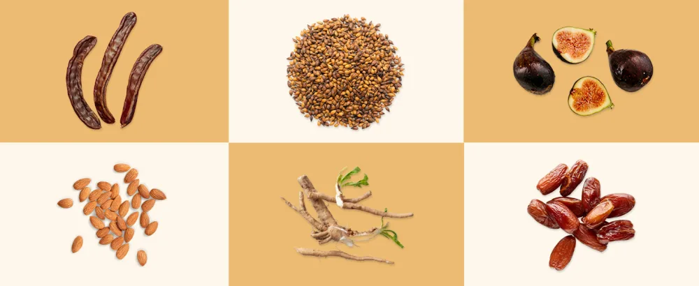 Teeccino Herbal Tea Hazelnut Rich & Roasted Herbal Tea That s Caffeine Free & Prebiotic for Natural Energy 25 Tea Bags - hazelnut