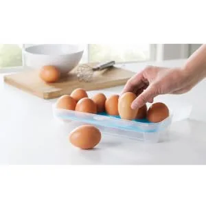 2pcs 10 Eggs Portable Refrigerator Clear Storage Bin with Lid Egg Holder Storage Box re-usable Green 24.5*10.5*7cm - product information 1