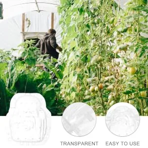 ORFOFE fruit shaping mold cucumber shaping molds fengshui molds creative melon molds Ginseng fruit modeling - product information 2