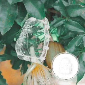 ORFOFE fruit shaping mold cucumber shaping molds fengshui molds creative melon molds Ginseng fruit modeling - product information 5