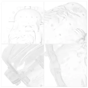 ORFOFE fruit shaping mold cucumber shaping molds fengshui molds creative melon molds Ginseng fruit modeling - product information 6