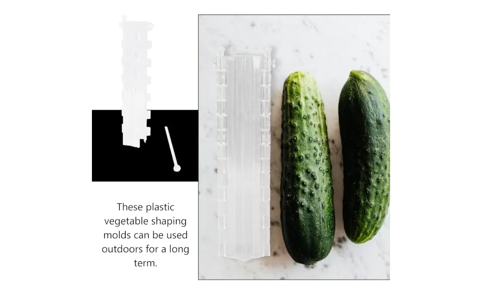 BCOATH 2pcs Melon and Fruit Shaping Mold Vegetables Pumpkin Shaping Mold Vegetable Growing Moulds Shaper - product information 6