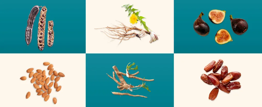 Teeccino Dandelion Tea Caramel Nut Rich & Roasted Herbal Tea That s Caffeine Free & Prebiotic with Detoxifying Dandelion Root 25 Tea Bags - caramel nut