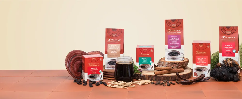 Teeccino Dandelion Tea Caramel Nut Rich & Roasted Herbal Tea That s Caffeine Free & Prebiotic with Detoxifying Dandelion Root 25 Tea Bags - Mushroom Blend Collection