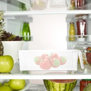 Gatuida 2pcs Boxes Refrigerator Storage Box Beer Dispenser Bin Storage Organizer Refrigerator Organizer Food 28.5X10CM As Shown - product information 3