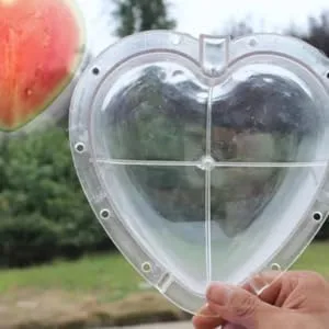 Hoement Fruit Shaping Molds Fruit Vegetables Square Tool Watermelon Shaping Grow Mold Cooking Utensils Strawberry Pumpkin 17x17cm Transparent - product information 2