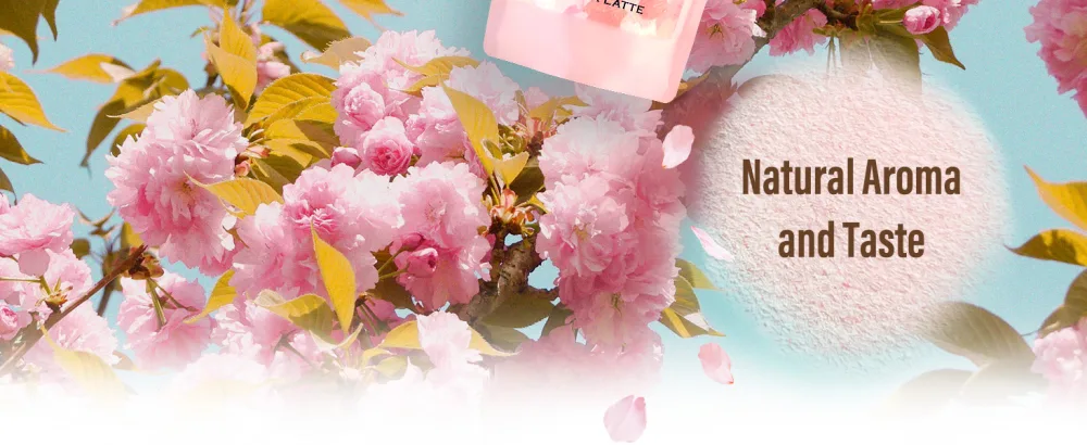 Sakura Latte powder Japanese Cherry Blossom Drinks Sweetened 3.5oz(100g) YAMASAN  - Sakura Latle