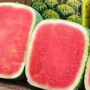 BRIGHTFUFU Watermelon Shaping Tools Fruit Shaping Vegetable Mould Fruit Shaper Watermelon Pumpkin Moss Cucumber Transparent 15x15cm - product information 3