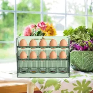 FUNOMOCYA Fridge Egg Organizer Egg Storage Box Eggs Egg Tray Drawers Organizer Egg Container for Refrigerator With Cover Crisper 25.2X19.5CM As Shown 1 - product information 2