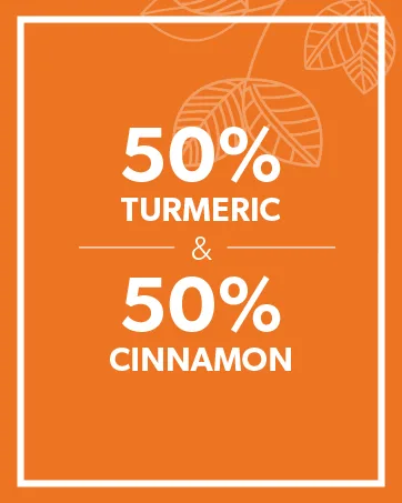 Nutra Tea - Turmeric & Cinnamon Tea - 120 Tea Bags - Herbal Tea - (6 Pack) 6 Pack (120 Tea Bags) - Turmeric & Cinnamon - Benefits