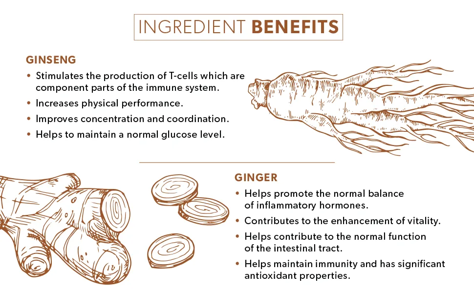 Nutra Tea - Ginger & Ginseng Tea - 120 Tea Bags - Herbal Tea (6 Pack) 6 Pack (120 Tea Bags) - Nutra Tea Ginseng & Ginger Functional Herbal Tea - Ingredient Benefits