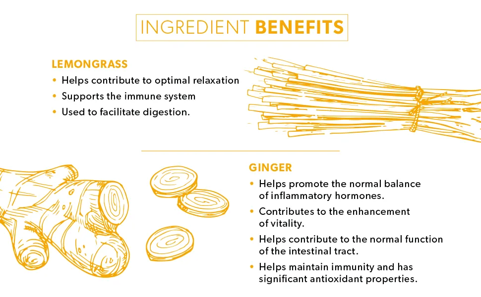 Nutra Tea - Lemongrass & Ginger Tea - 120 Tea Bags - Herbal Tea - (6 Pack) 6 Pack (120 Tea Bags) - NutraTea Lemongrass & Ginger Functional Herbal Tea - Ingredients