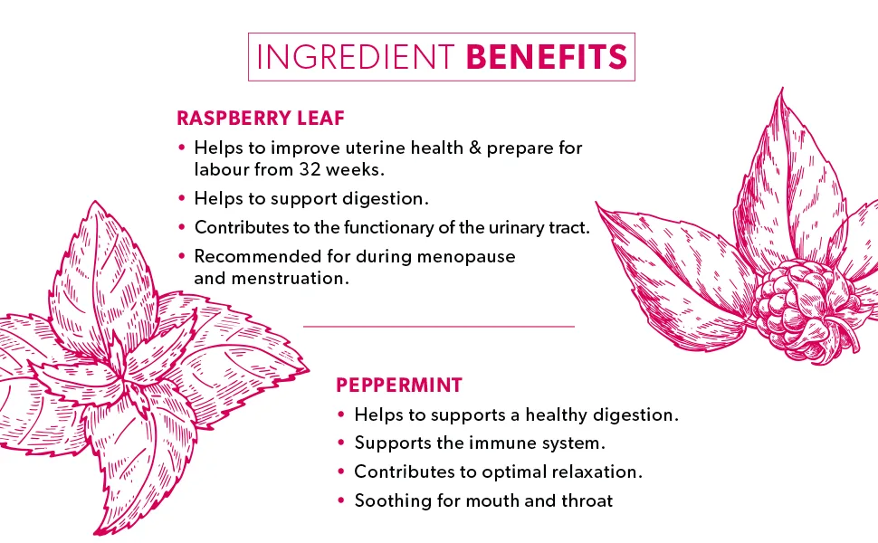 Nutra Tea - Raspberry Leaf & Peppermint Tea - Raspberry Leaf Tea For Pregnancy & Expectant Mothers - 120 Tea Bags - Herbal Tea - (6 Pack) 20 Count (Pack of 6) - Nutra Tea Raspberry Leaf & Peppermint Functional Herbal Tea - Ingredients Benefits