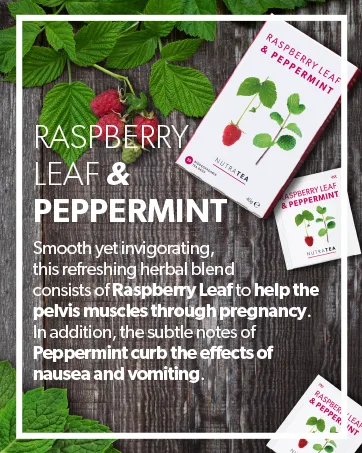 Nutra Tea - Raspberry Leaf & Peppermint Tea - Raspberry Leaf Tea For Pregnancy & Expectant Mothers - 120 Tea Bags - Herbal Tea - (6 Pack) 20 Count (Pack of 6) - Raspberry Leaf & Peppermint - Reasons To Believe