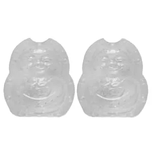 SEWOART Peach Mold 2pcs Vegetable Shaping Mold Multifunction Grow Melons Watermelon Mold - product information 2