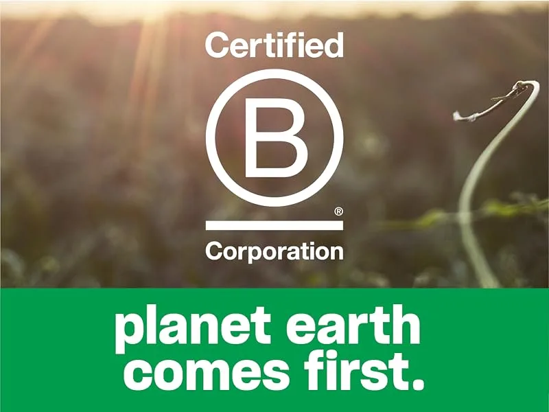 Vega Protein Made Simple - Dark Chocolate (271g) - B Corp High Res