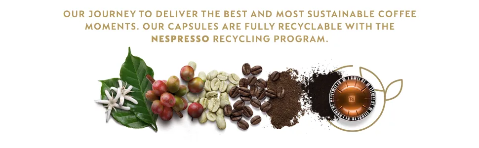 Nespresso Capsules VertuoLine Vanizio / Vanilla Custard Pie Medium Roast Coffee 30 Count Coffee Pods Brews 7.8 oz - NESPRESSO