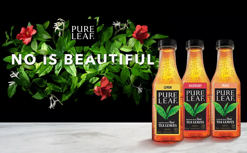 Pure Leaf Green Tea with Honey 547 mL Bottles 12 Pack - Pure Leaf, Premium Iced Tea