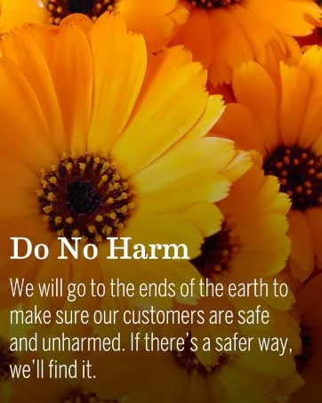 A Little Something for Mama-to-Be Gift Set by Earth Mama Natural Pregnancy and Maternity Gift for Expectant Mothers, 5-Piece Set - Do No Harm We will go to the ends of the earth to make sure our customers are safe and unharmed