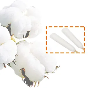 6 Inch Long Cotton Swabs of Medium and Large Pets Ears Cleaning or Makeup 100pcs 6" 100pcs - product information 3