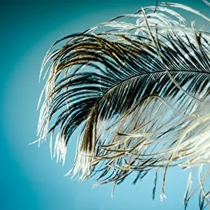 30 Pairs 20MM False Eyelashes Wholesale 6 Styles Mixed Lashes 8D Fluffy Volume Dramatic Faux Mink Eyelashes Pack 1-1 / 30 Pairs / 6 Styles - lashes