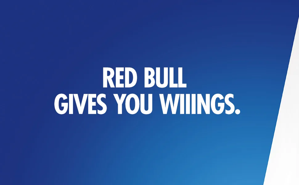Red Bull - Sugar Free Energy Drink - Pack of 12 - 250ml - Module 1
