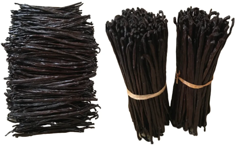25 Madagascar Vanilla Beans Grade A/B Bulk for Extract and Everything Vanilla| 5"-7" Bourbon Fresh Whole Raw Natural NON-GMO Pods by FITNCLEAN VANILLA. - vanilla beans whole