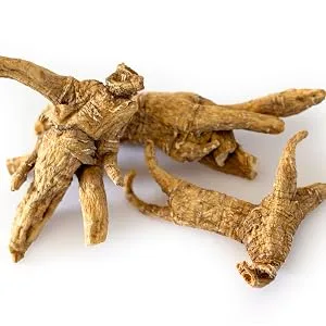 100% Authentic American Ginseng Capsules -500 mg. Potent Ground Ginseng Root - No Fillers, Binders or Other Additives. (75) 75 Count (Pack of 1) - Ginseng capsules, wisconsin ginseng, american ginseng. panax ginseng, ginseng roots, ginseng powder