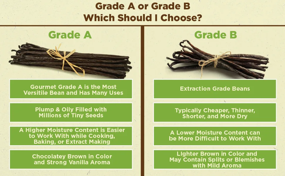 10 Vanilla Beans - Whole Extract Grade B Pods for Baking, Homemade Extract, Brewing, Coffee, Cooking - (Tahitian) 10 Count (Pack of 1) - prime plump oily seeds moisture chcolate strong aroma dry small extraction brew beer