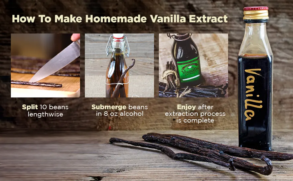 10 Vanilla Beans - Whole Extract Grade B Pods for Baking, Homemade Extract, Brewing, Coffee, Cooking - (Tahitian) 10 Count (Pack of 1) - vanille extracto vanilla banilla high quality vanilla bean kings ice cream KAHLUA