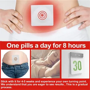 (60 Pcs) Mugwort Belly Patch, Natural Plant Abdomen Navel Patch, Use at Home, Suitable for Women and Men 60pcs - product information 5