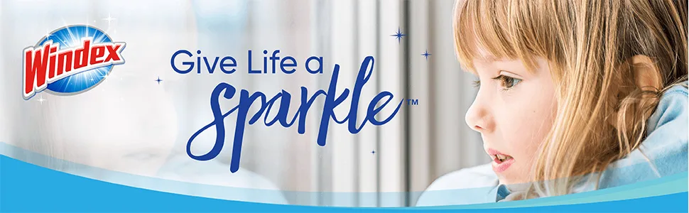 Windex Original Glass and Window Cleaner Spray Bottle, Original Blue, 23 fl oz - Pack of 6 23 Fl Oz (Pack of 6) - Give Life a Sparkle